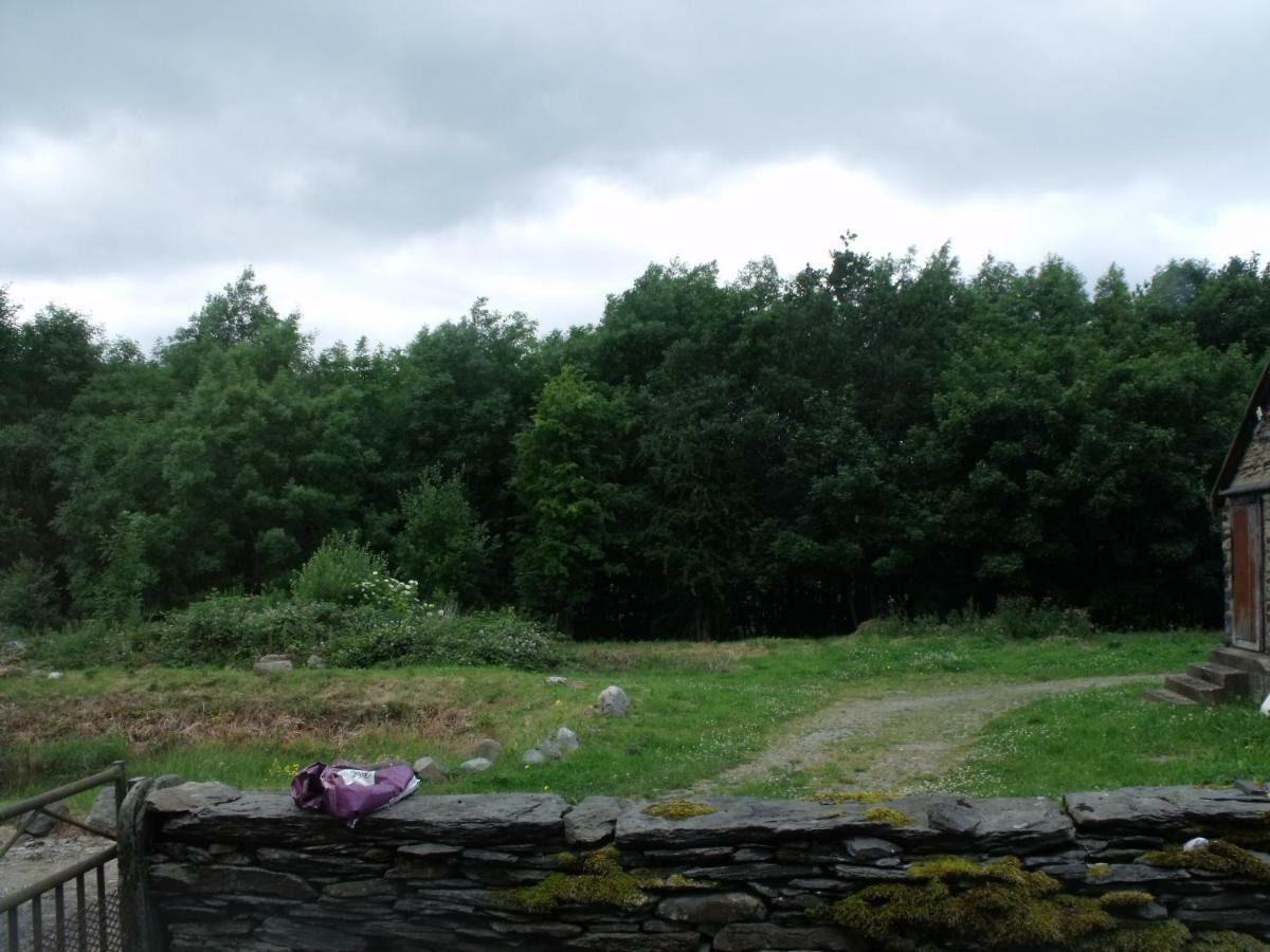 Cosy Ground Floor Disabled Friendly Room In Farm House Llandderfel Экстерьер фото