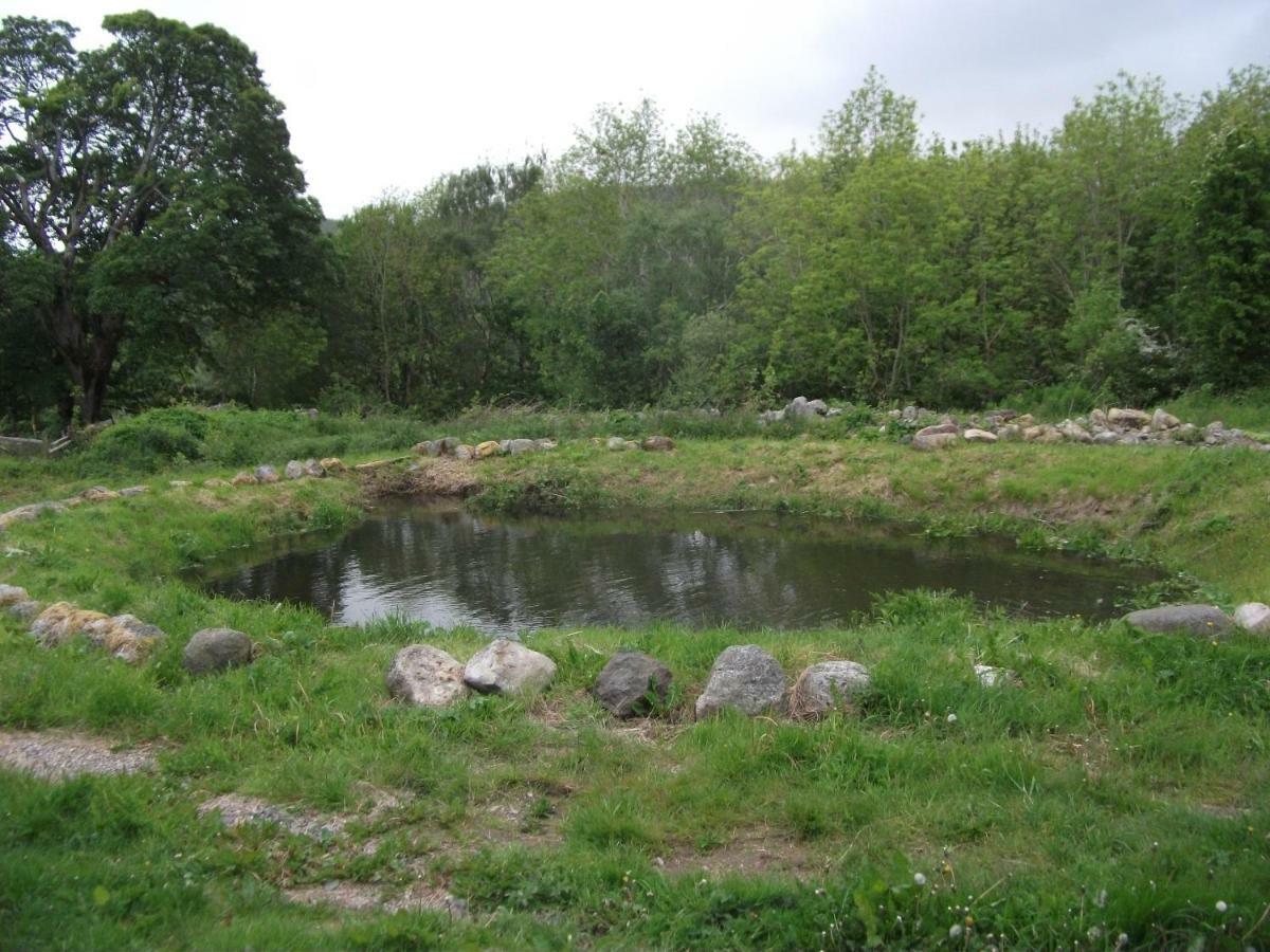 Cosy Ground Floor Disabled Friendly Room In Farm House Llandderfel Экстерьер фото